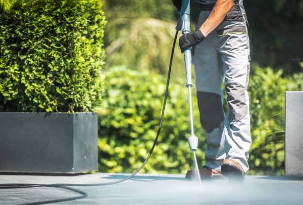 Best House Exterior Washing  in Battlement Mesa, CO